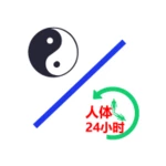 中医经络穴位流注 android application logo